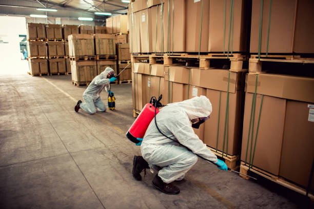 Best Rat Extermination Near Me  in Macdonnell Heights, NY