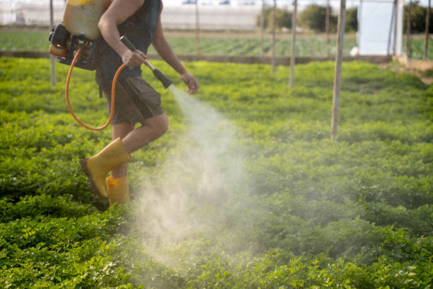 Best Pest Prevention Services  in Macdonnell Heights, NY