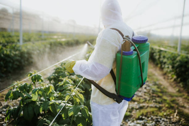 Best Local Pest Control Services  in Macdonnell Heights, NY